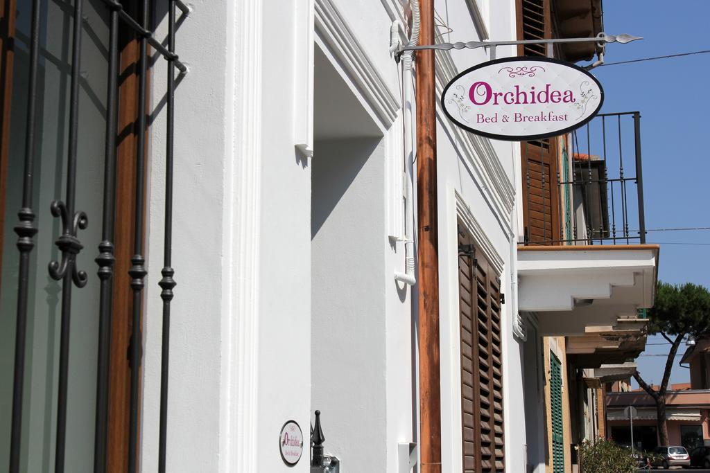 Orchidea Rooms & Suites Чивитанова-Марке Экстерьер фото